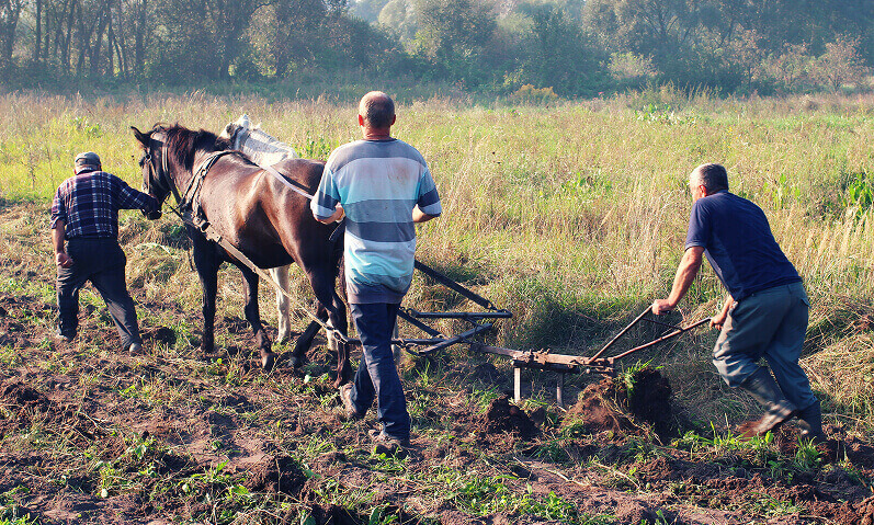 Quem trabalhou na roça e depois na cidade pode pedir aposentadoria por idade híbrida